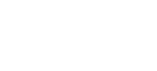 The Bridge Group - Network of Law Firms